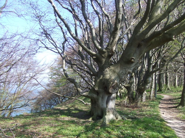 Rügen21.-28.April2007 157